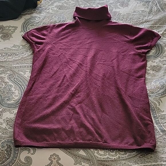 Turtenesck sleeweless sweater  - Picture 1 of 7